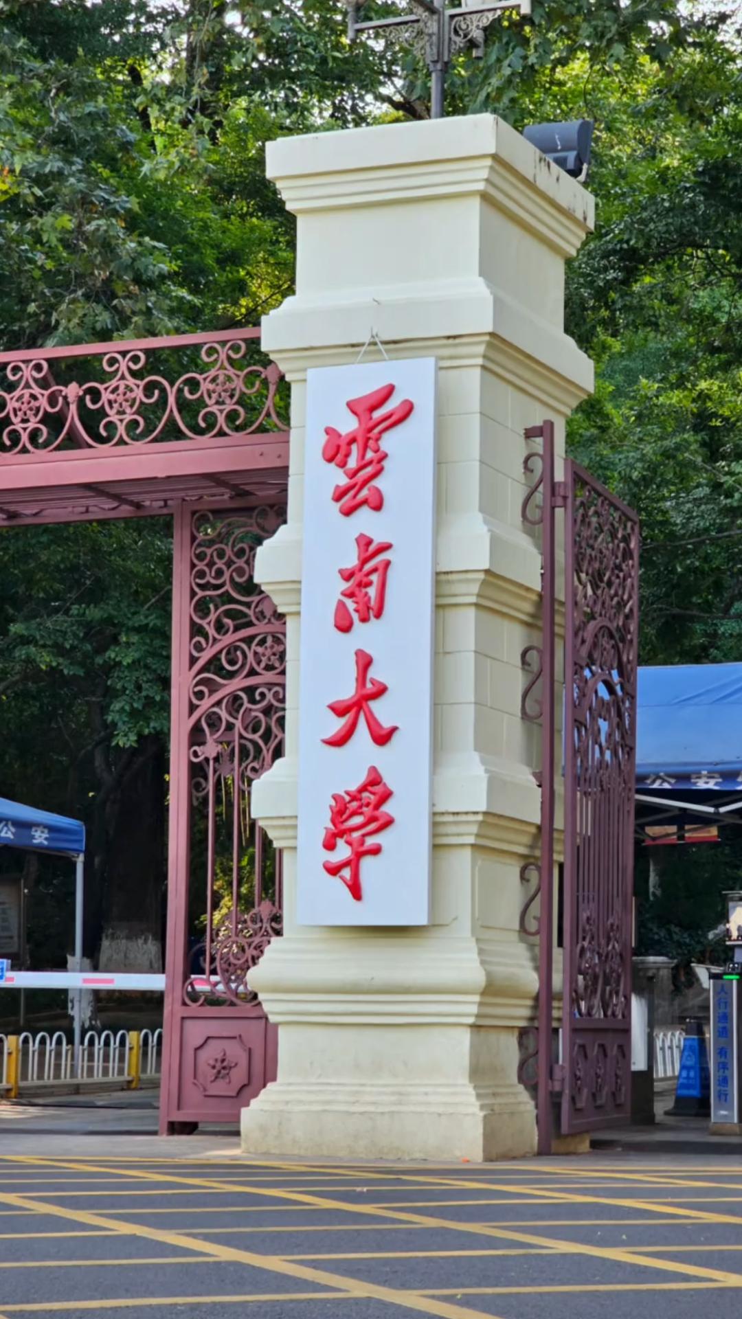 高校不录取，
退档备注“总分低”
考生发文吐槽被羞辱，

一名考生填报云南大学，
