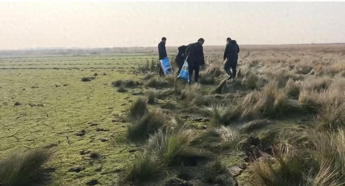 江西湿地现百处毒谷，投毒者深夜现身，东方白鹳尸身旁藏玄机。

每年秋冬，鄱阳湖湿