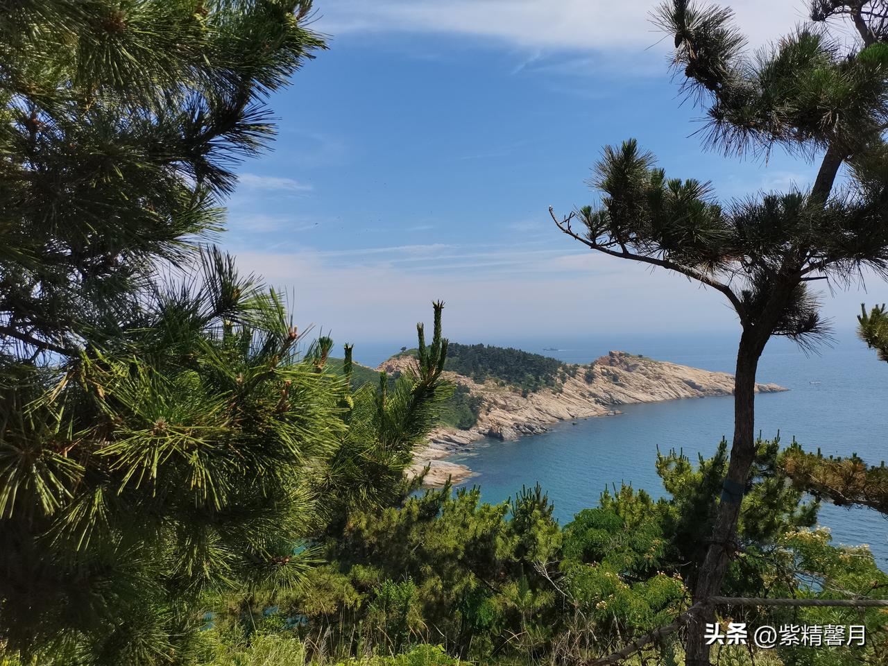 暑假到来，直奔威海半月湾！这里真的藏着无敌海景，漫山青松搭配澄澈蓝海，天然取景框