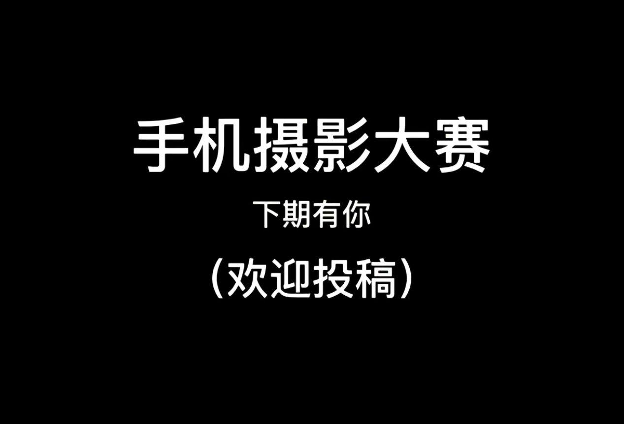 摄影比赛投稿 小米手机 摄影比赛 苹果 摄影大赛