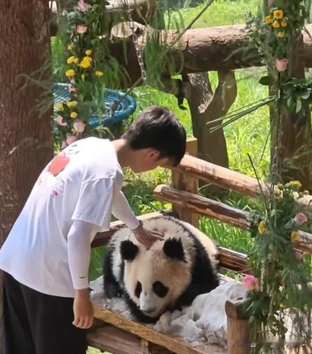 天气炎热，苗苗奶爸来叫小月亮回内舍稍作休息，小月亮在堆满冰雪的秋千上玩，秋千装饰