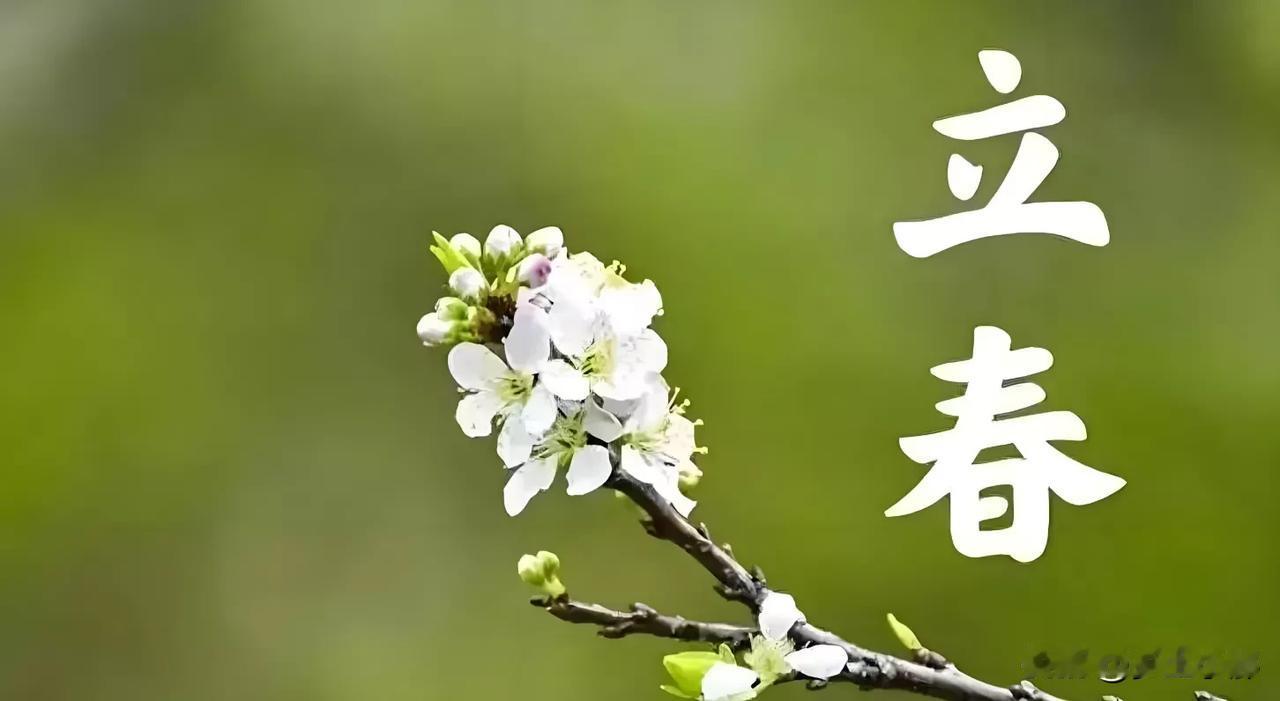2月4日凌晨4点02分，我们将迎来立春。民间常说“立春大如年”，足见这个节气在人