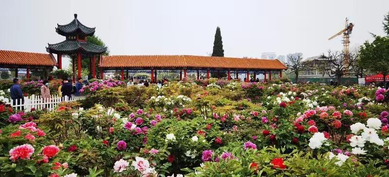 这张照片是菏泽吧？