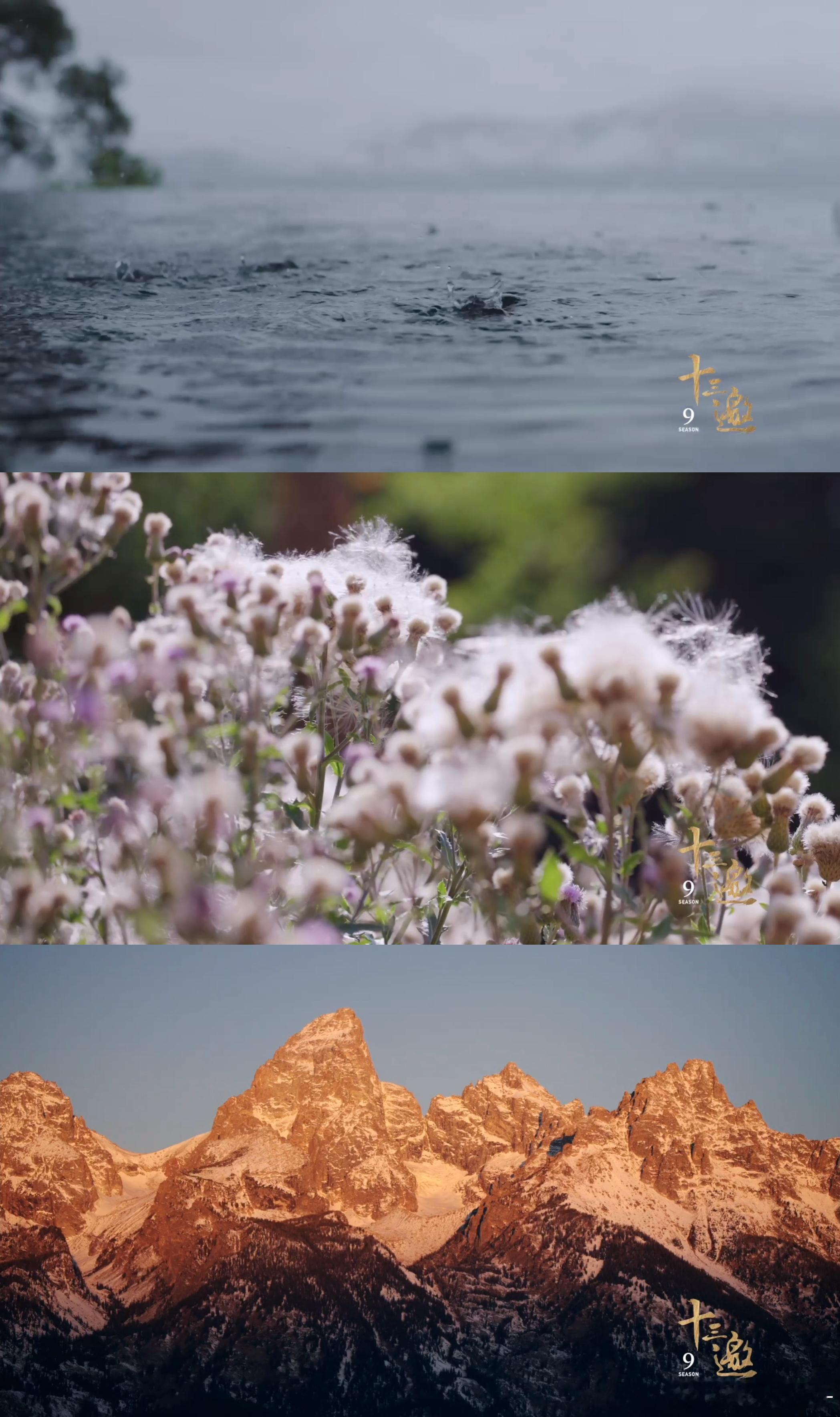 十三邀9崭新的开始 看到新季宣传片的那一刻，许知远的每句话都如同心灵的指引，让我