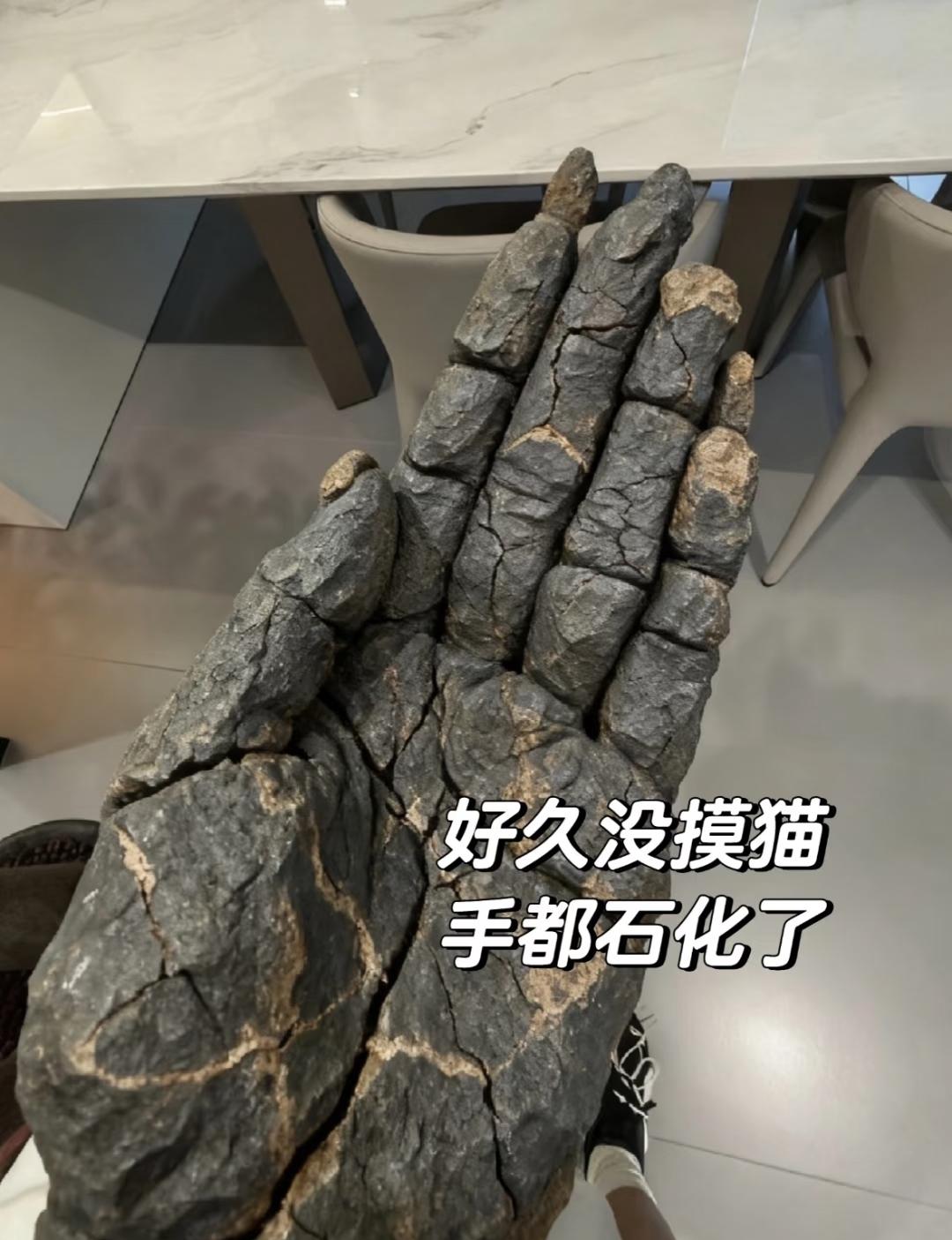 好久没摸了
可不可以给我看看你家猫
让我云吸猫也行啊
孩子顶不住了要[流泪]