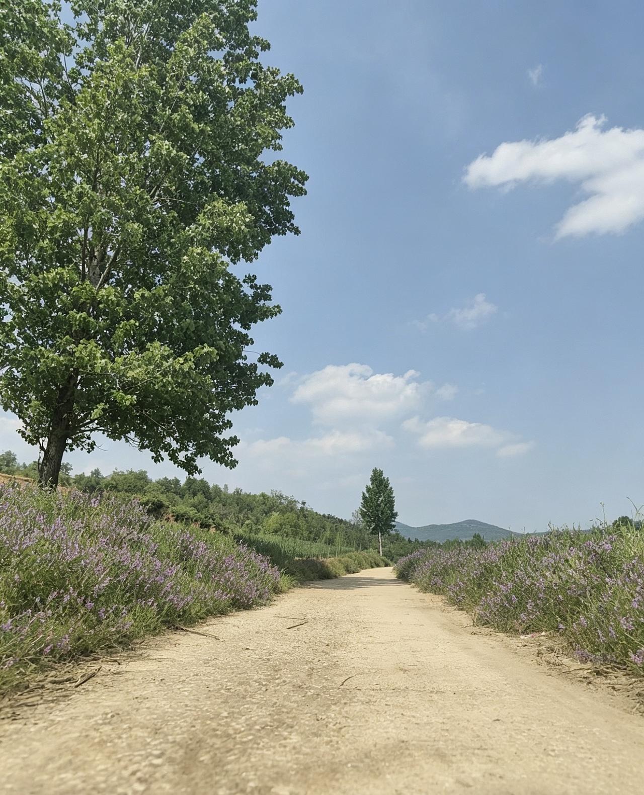 徒步的乐趣不在于目的地，而在于过程的享受～爬山徒步感悟
