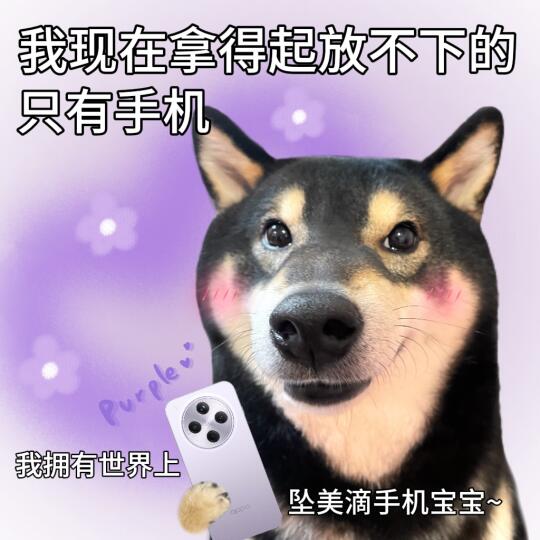 感觉自己抓周抓的是手机