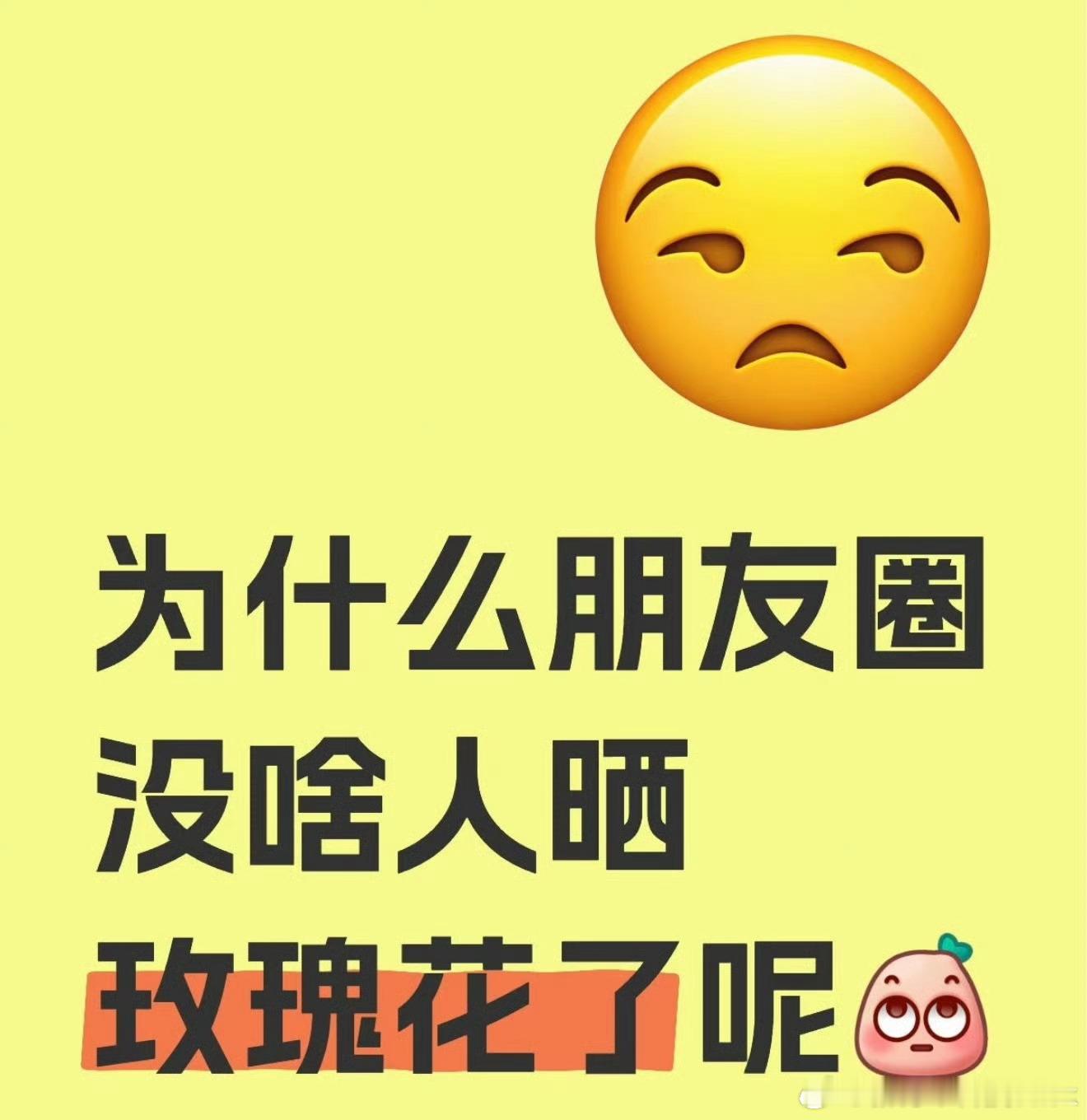 突然发现朋友圈没人晒花了因为大城市的朱迪杰西卡莫妮卡和杰森、杰克、安德鲁都回乡下