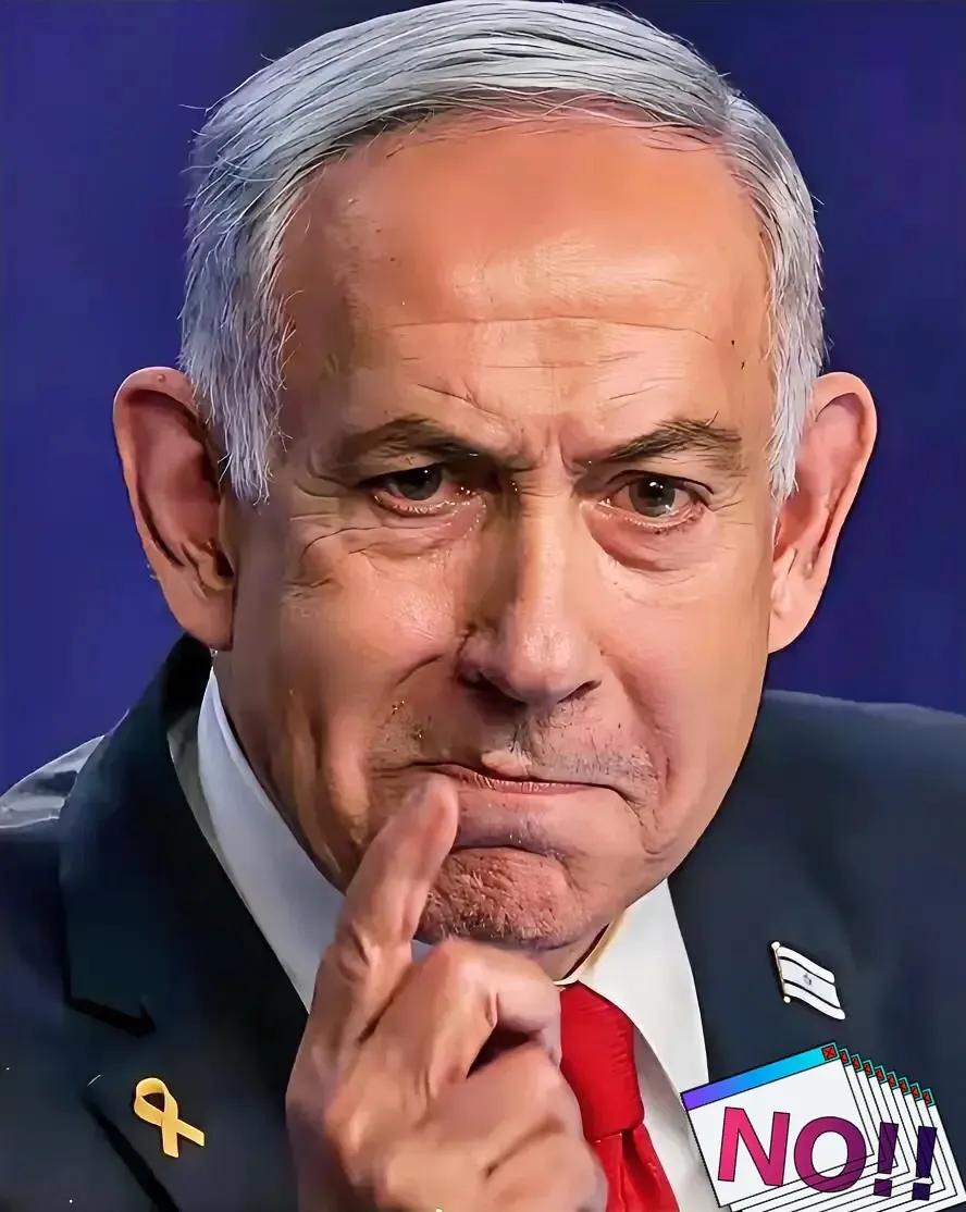 巴基斯坦尴尬了，巴基斯坦总理宣称：黎巴嫩已纳入停火协议，并立即生效。然而遭到以色