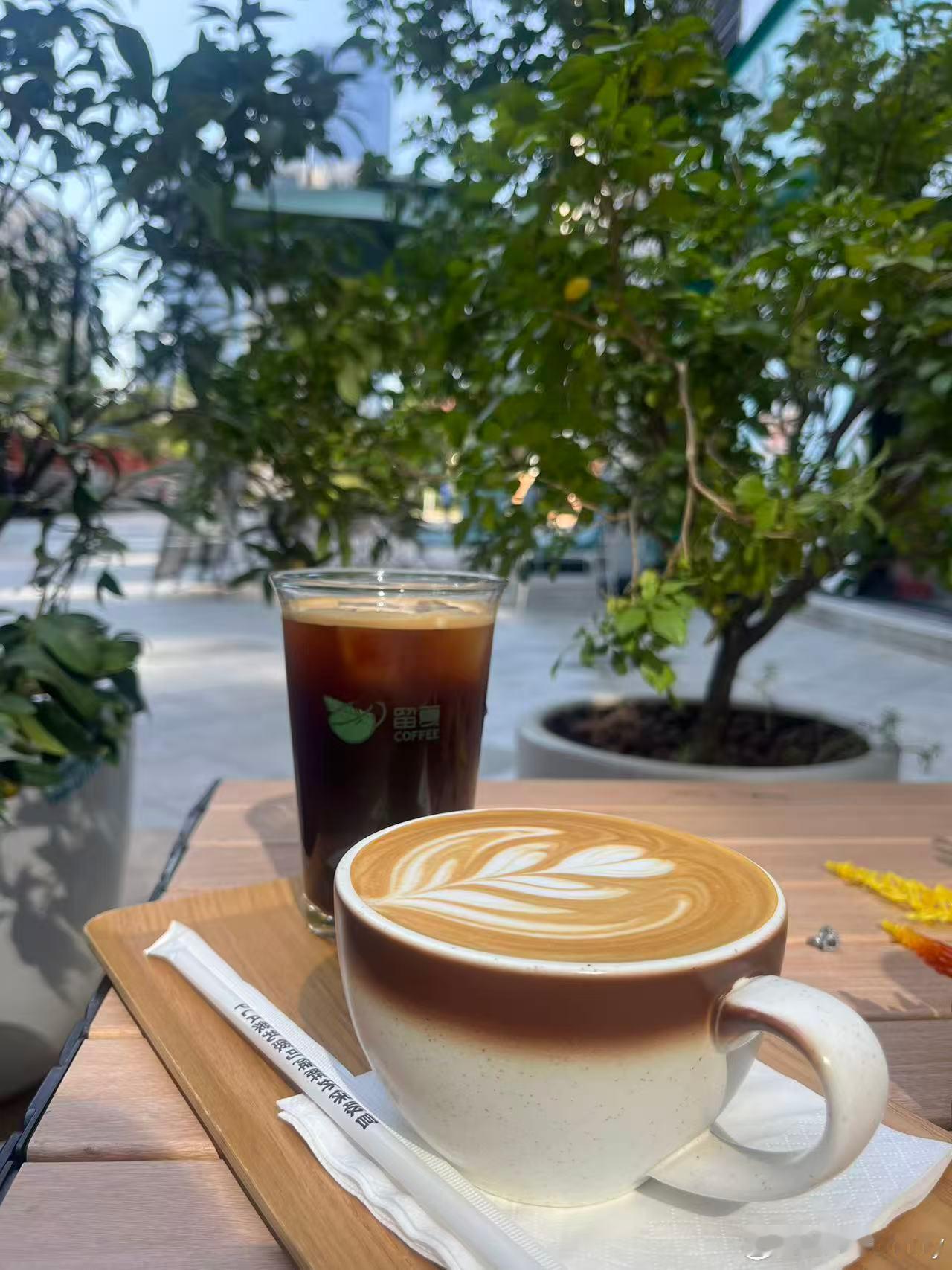 早晨 深圳·Ecicoffee(莱蒙·水榭春天6期B区店)