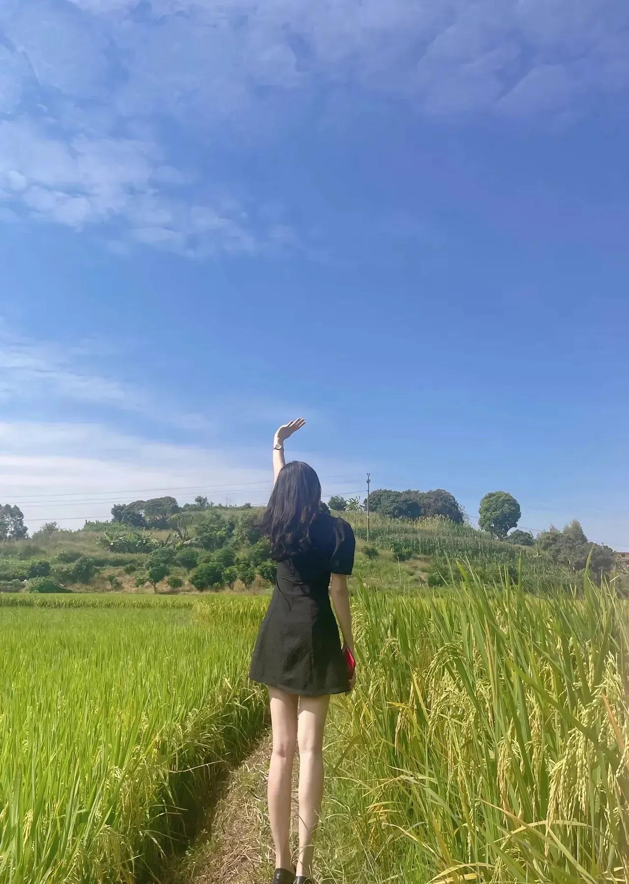 做人要像水稻一样，越是成熟越低调。
生活要简简单单 为人处要低调 要活得优雅 处