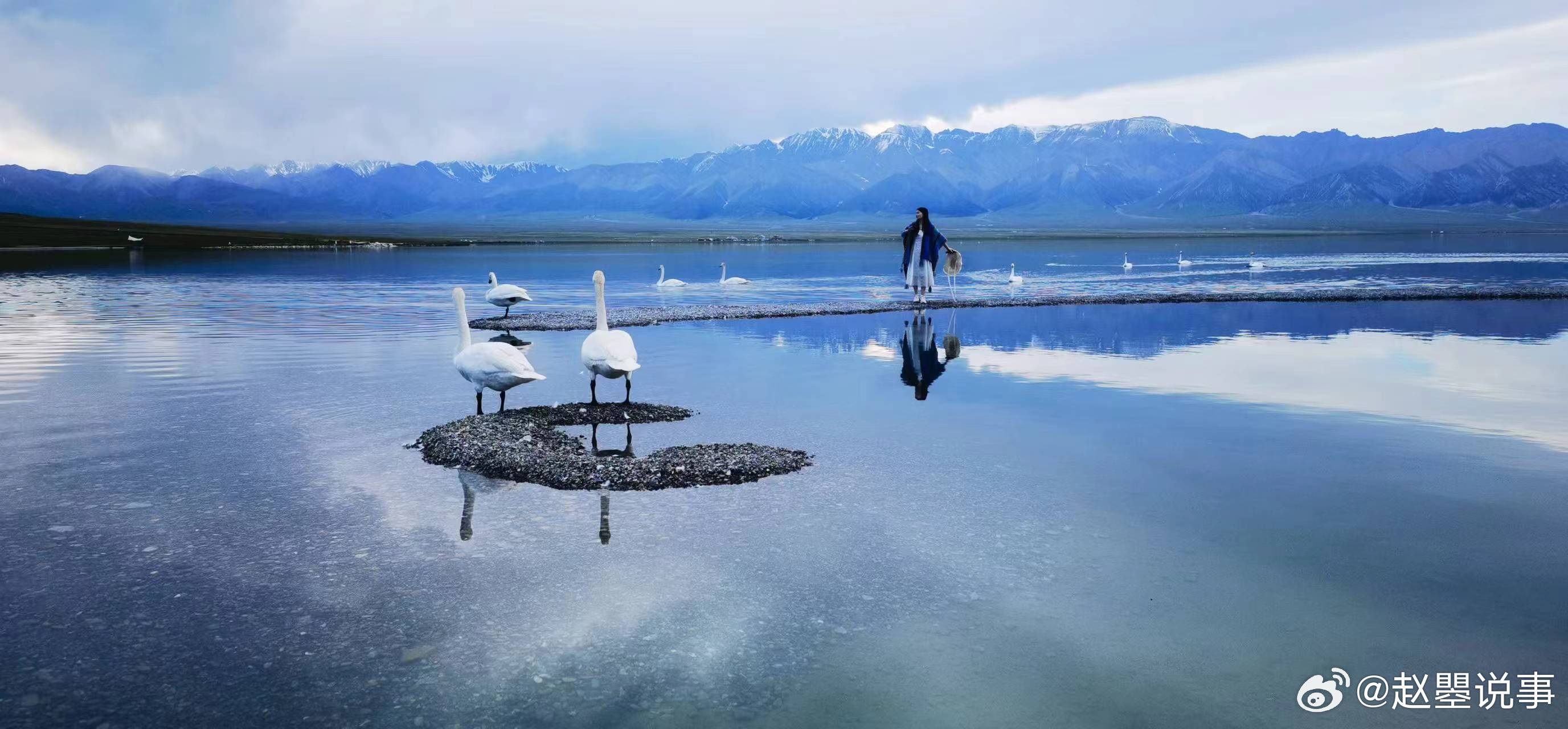 春游就是在和春天交换能量  放下忙碌，走进风里、阳光下、花草间，让温柔的春意慢慢