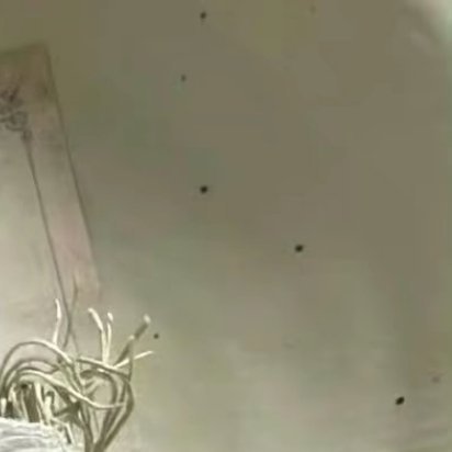 阳光信用🌞 阳光信用 🌞每日一善 勿以善小而不为，滴水可成河，微光可聚星。随