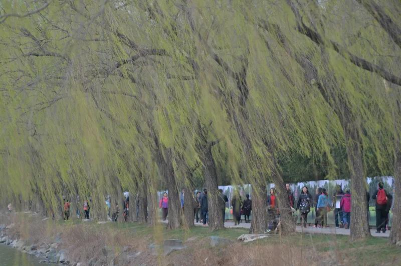 《晴暖》
晴日暖风撩意动，
游山人影笑声重。
不辞经远松风顶，
春夏秋冬晴暖同。