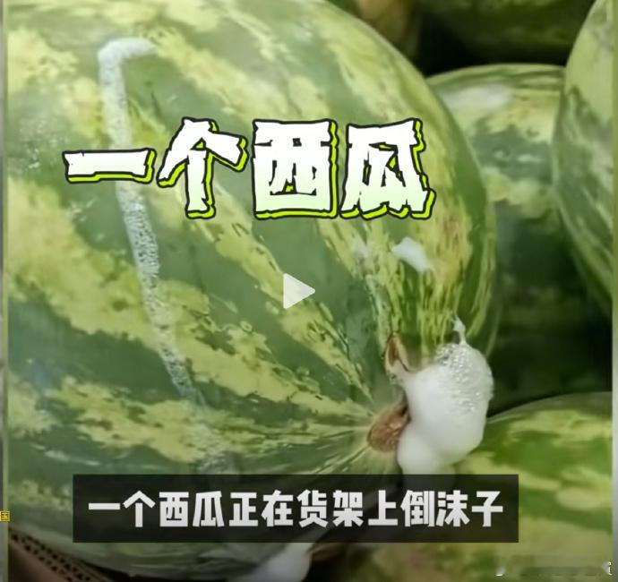 瑜伽垫西瓜与橡胶香蕉：美国"高科技水果"终于暴露了真相你见过能在手里对折180度