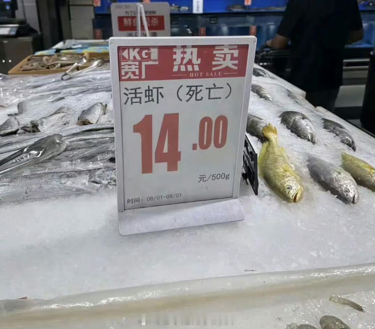 那这🦐是死是活呢