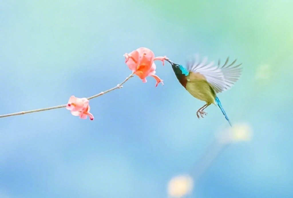 接住好运！ ​​​​迎接你期待的事 ​​​