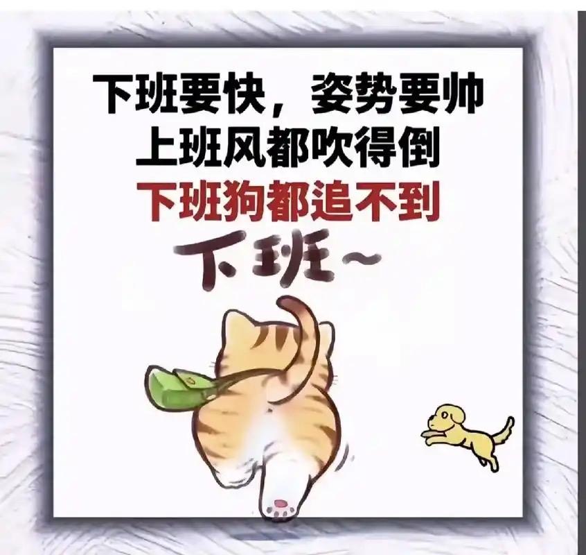 委员建议：每天下班后，投入地玩半小时！打工人破防：这才是人间清醒

今年两会，一