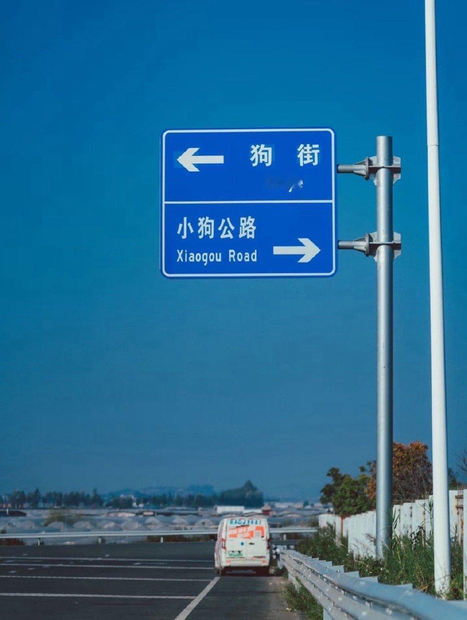 小狗公路 