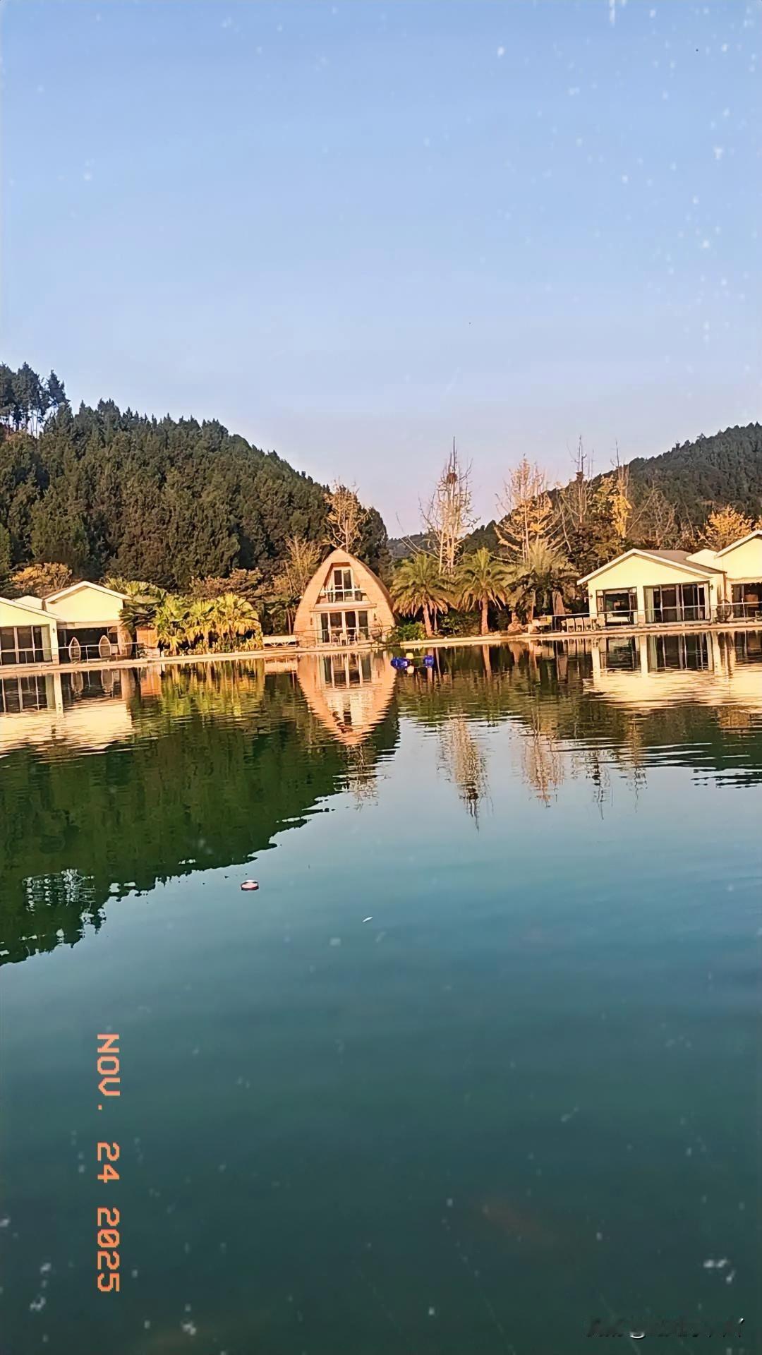 分享一张最近随手拍的照片