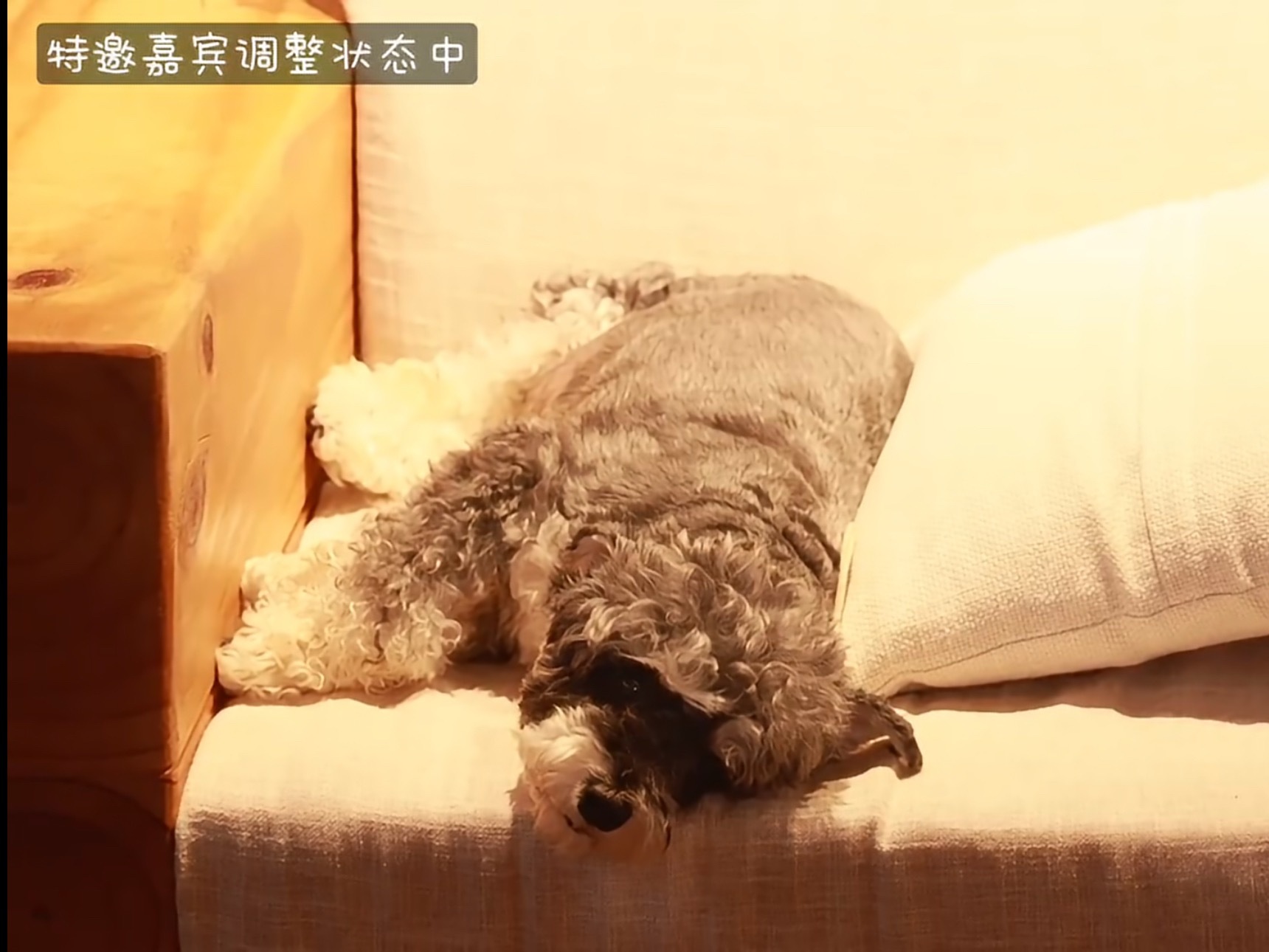 原来女明星候场是这样的刘宇宁 。刘宇宁直播