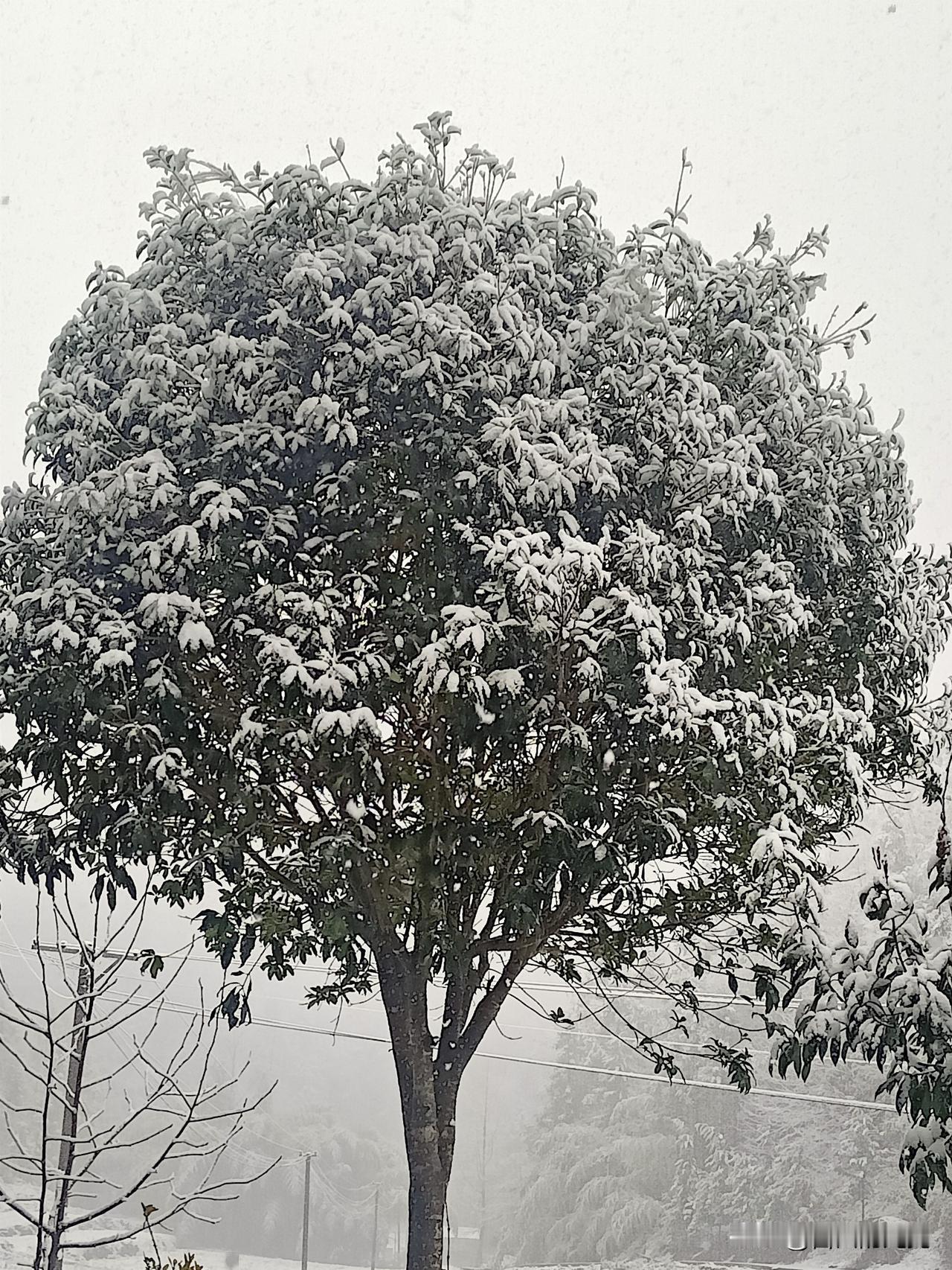 朋友为了给他儿子娶媳妇，到处东拼西凑，向我借了5000元。如今五年过去了，虽然我