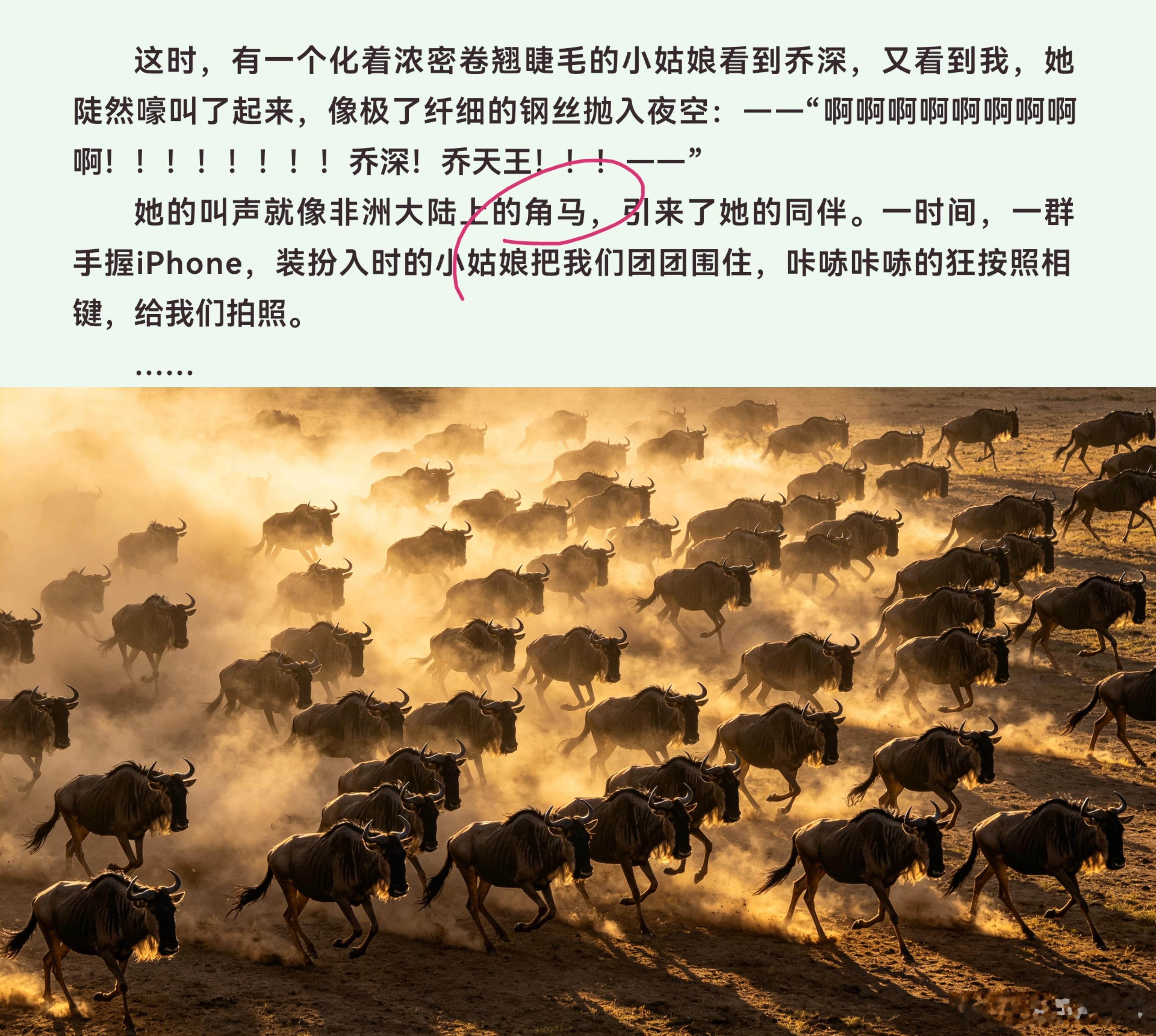 每次看到有流量线下活动，跨过安全红线的时候，这群疯狂的粉丝们就特别像非洲角马。我