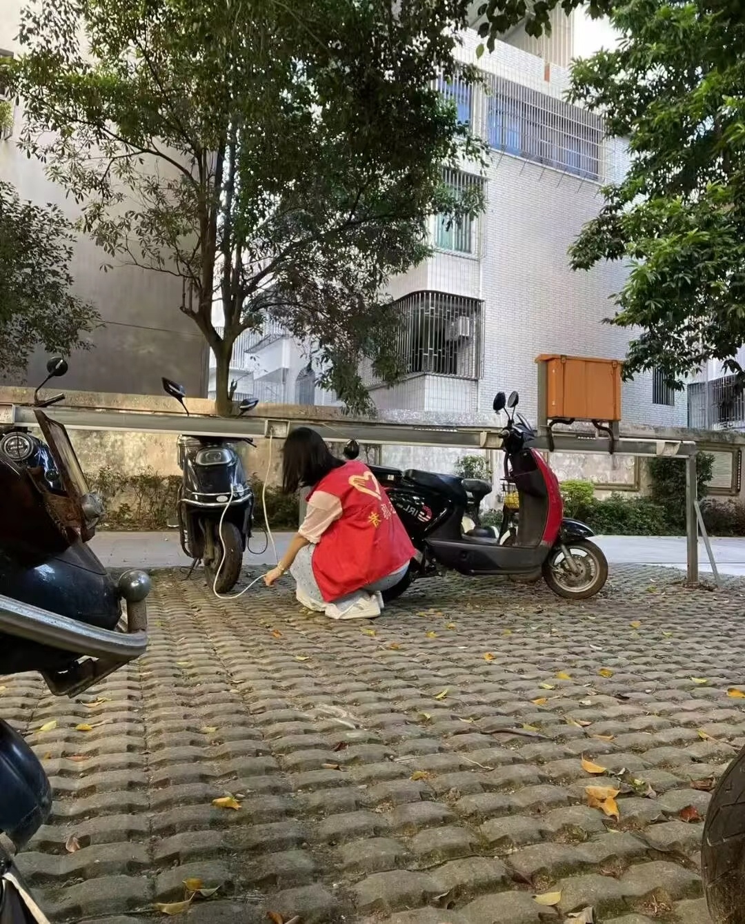 秦岭笑谈 【曲园学子扎根菏泽乡镇村落，以助老上门服务与道路环境整治绘就和美乡村图