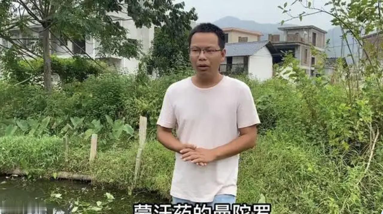 差点没命！把蒙汗药当菠菜下锅，一家三口全昏迷 山东东营一家人栽在野菜上，老人野外