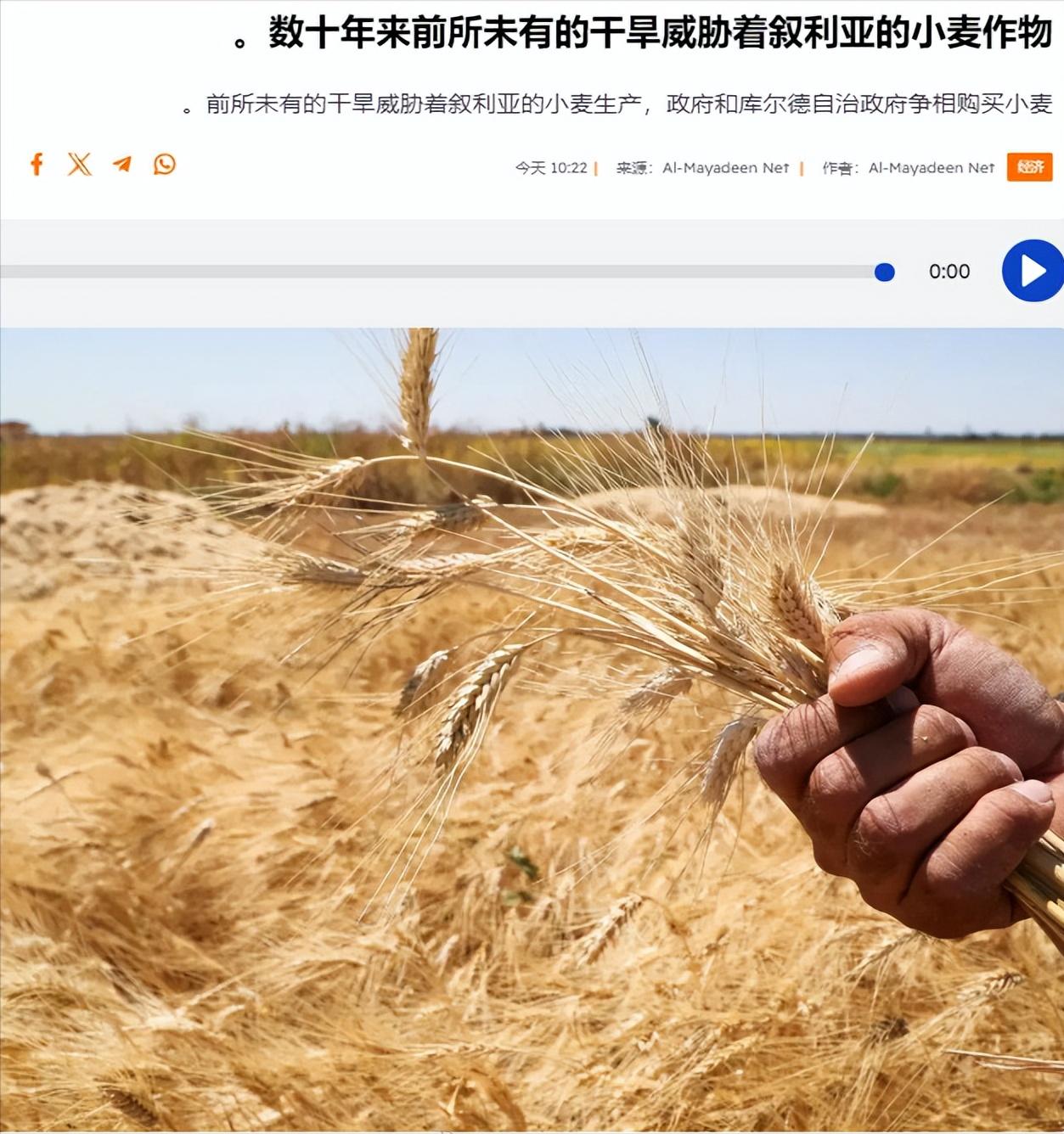 联合国粮食及农业组织（FAO）表示，今年叙利亚遭遇了60年来前所未有的干旱，约有