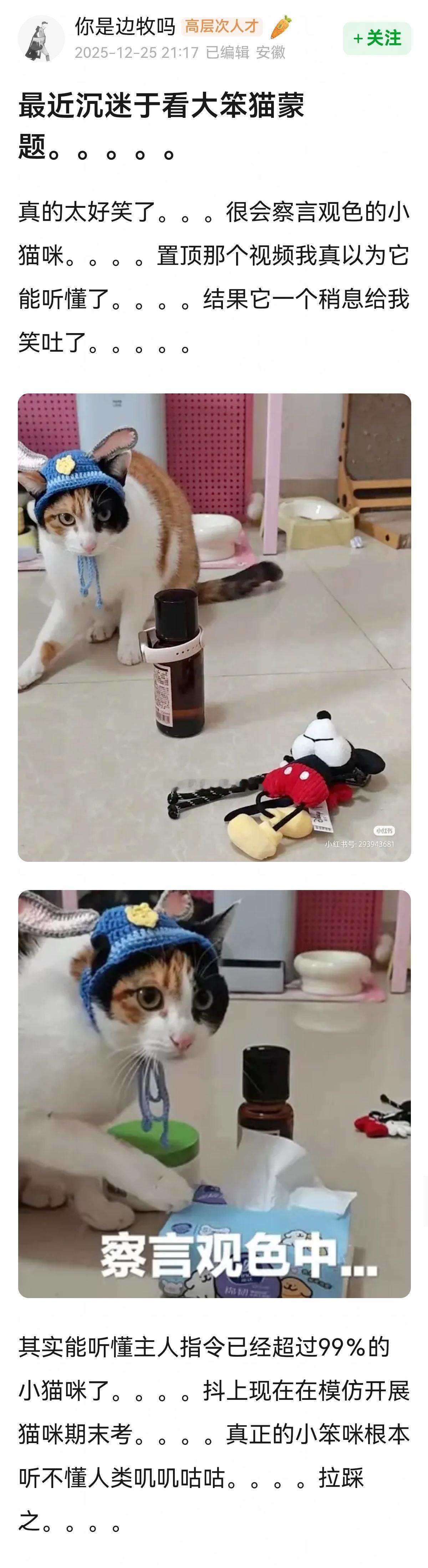 大笨猫蒙题我也看了，蒸蚌~