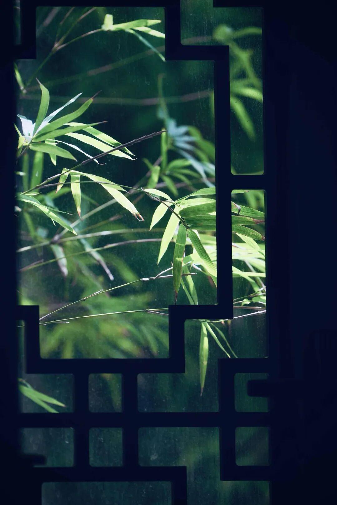 春怨
竹影婆娑映轩窗，
忽然想起那姑娘。
记得当年春色好，
齿白唇红梳淡妆。
眉