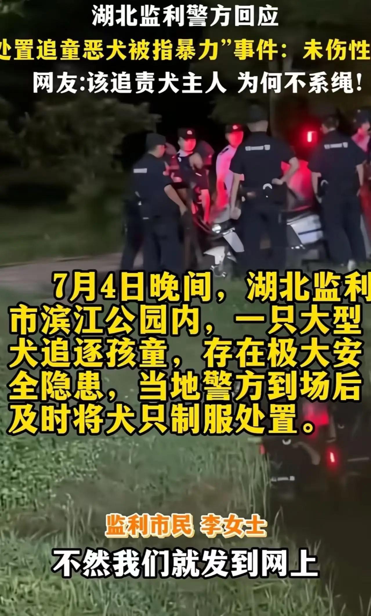 “圣母心泛滥了！”民警围捕一条没有栓绳、正在追逐儿童的狗，旁边一位爱狗女士举着手