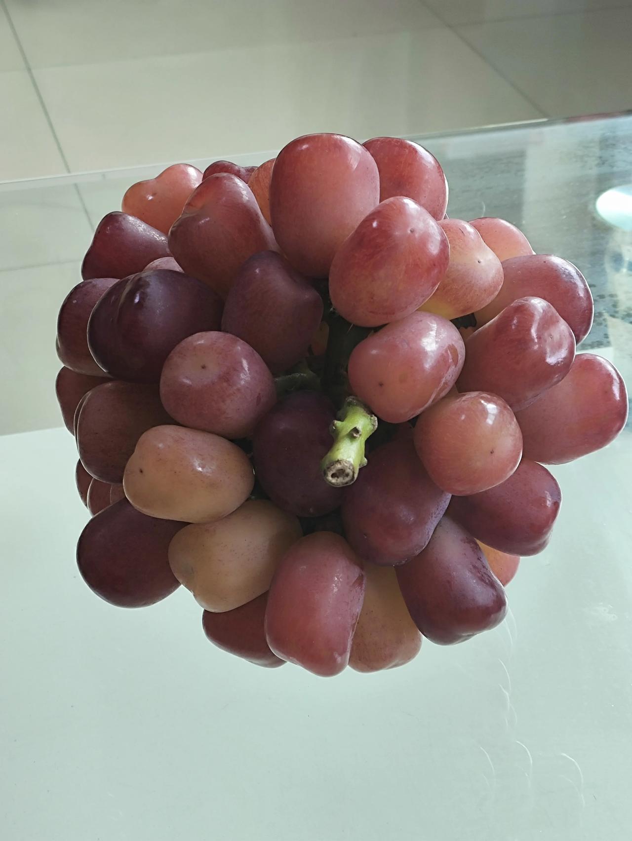 宝宝呀，今天又祸害了多少粮食呢？[微风][微风][微风]就算是贵族幼儿恐怕都不敢