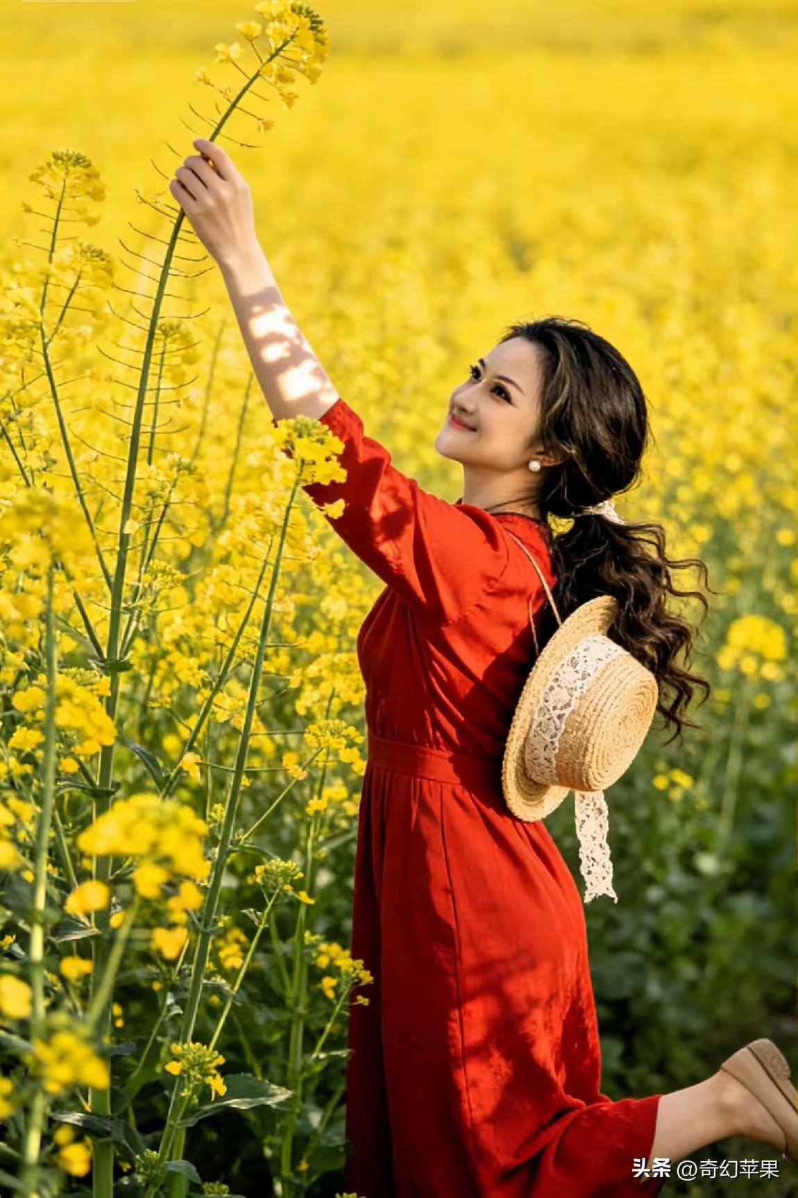 清江引·春日花田
千畦金浪连云暖，
遍野芳菲漫。
花香入袖轻，
花影随阶转。
锦