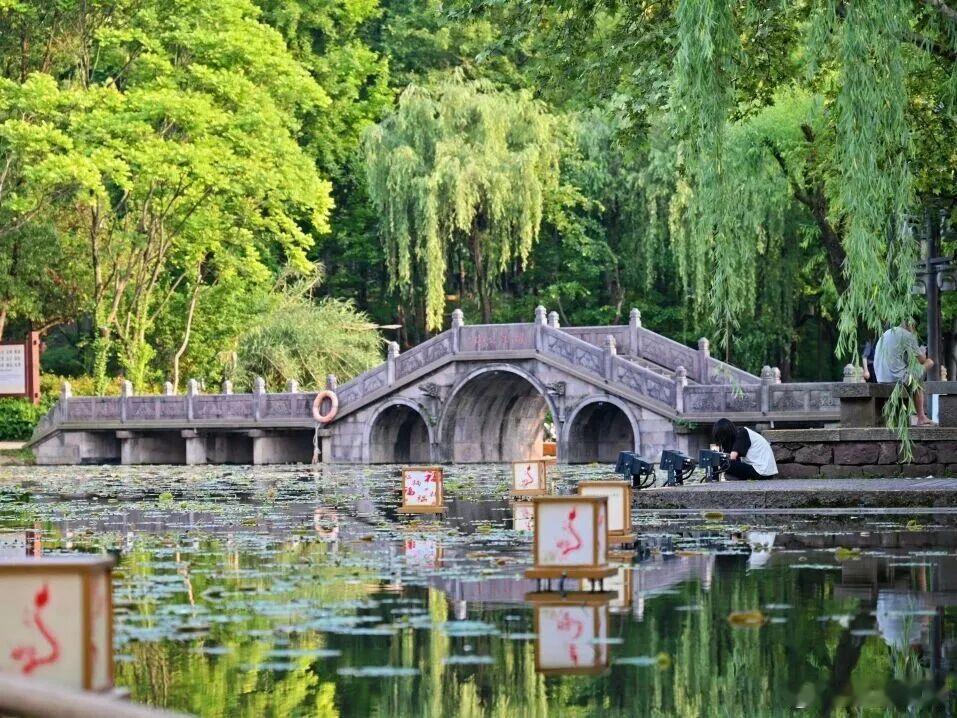 小桥碧水，垂柳依依，一池波光倒影，安安静静享受这份园林闲趣。 