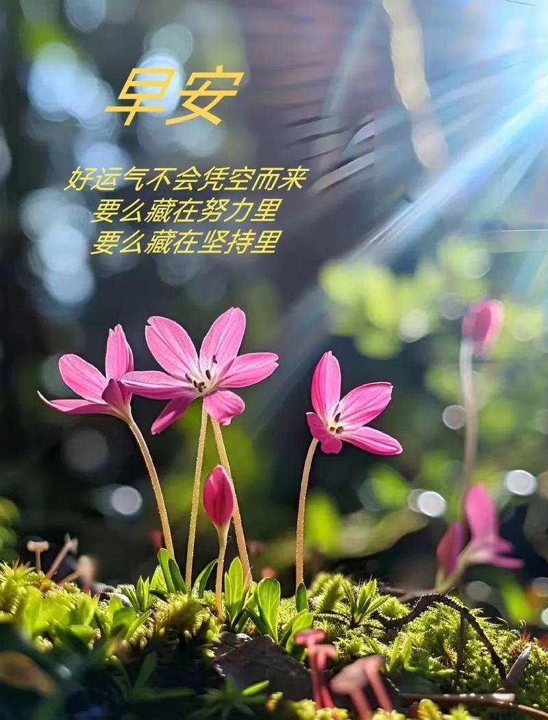 [彩虹]人生在世，有哪些做人的道理实用分享几句接地气、能直接用、不鸡汤的做人道理