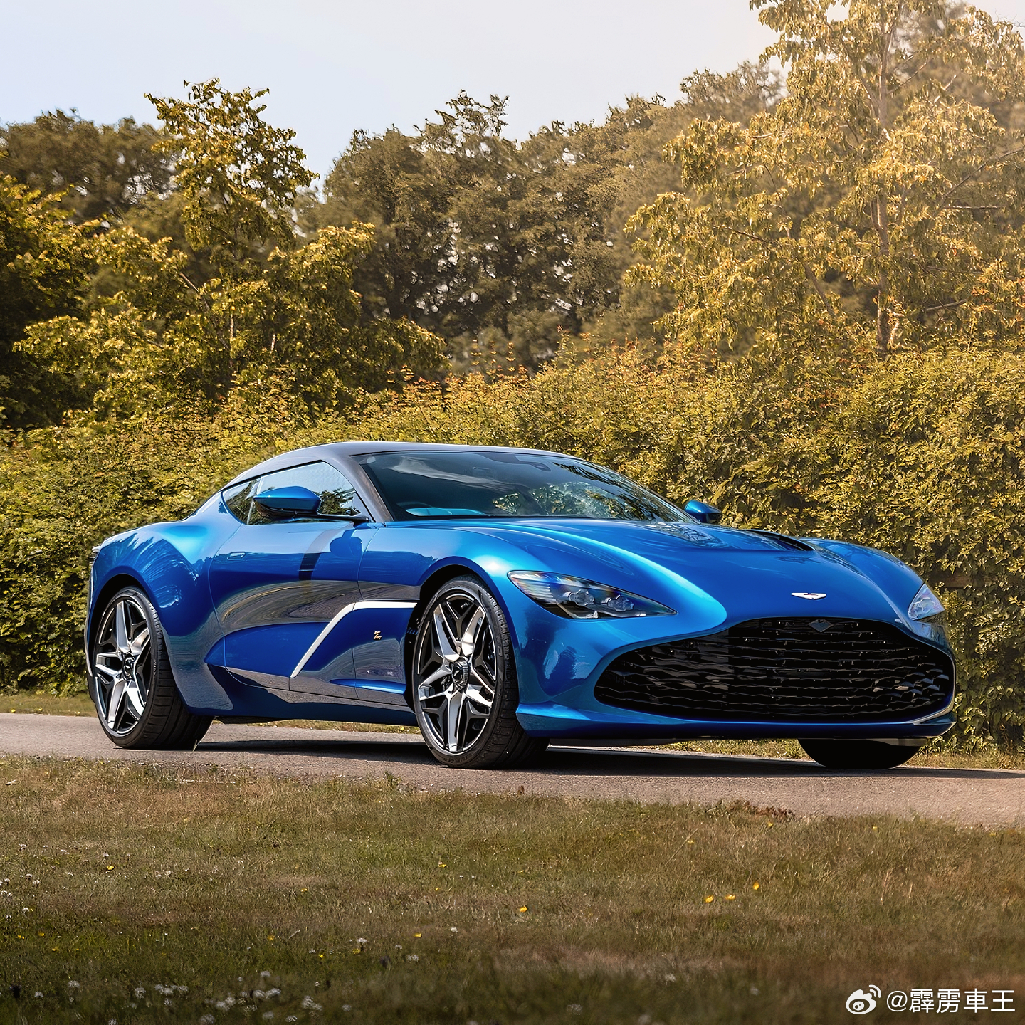DBS Zagato 英伦优雅的极致绝唱。手工锻造的弧面之下，是V12猛兽的心脏