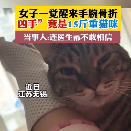 谁能想到，每天陪你入睡的软萌“毛孩子”，竟然成了让你进医院的“凶手”。最近，江苏