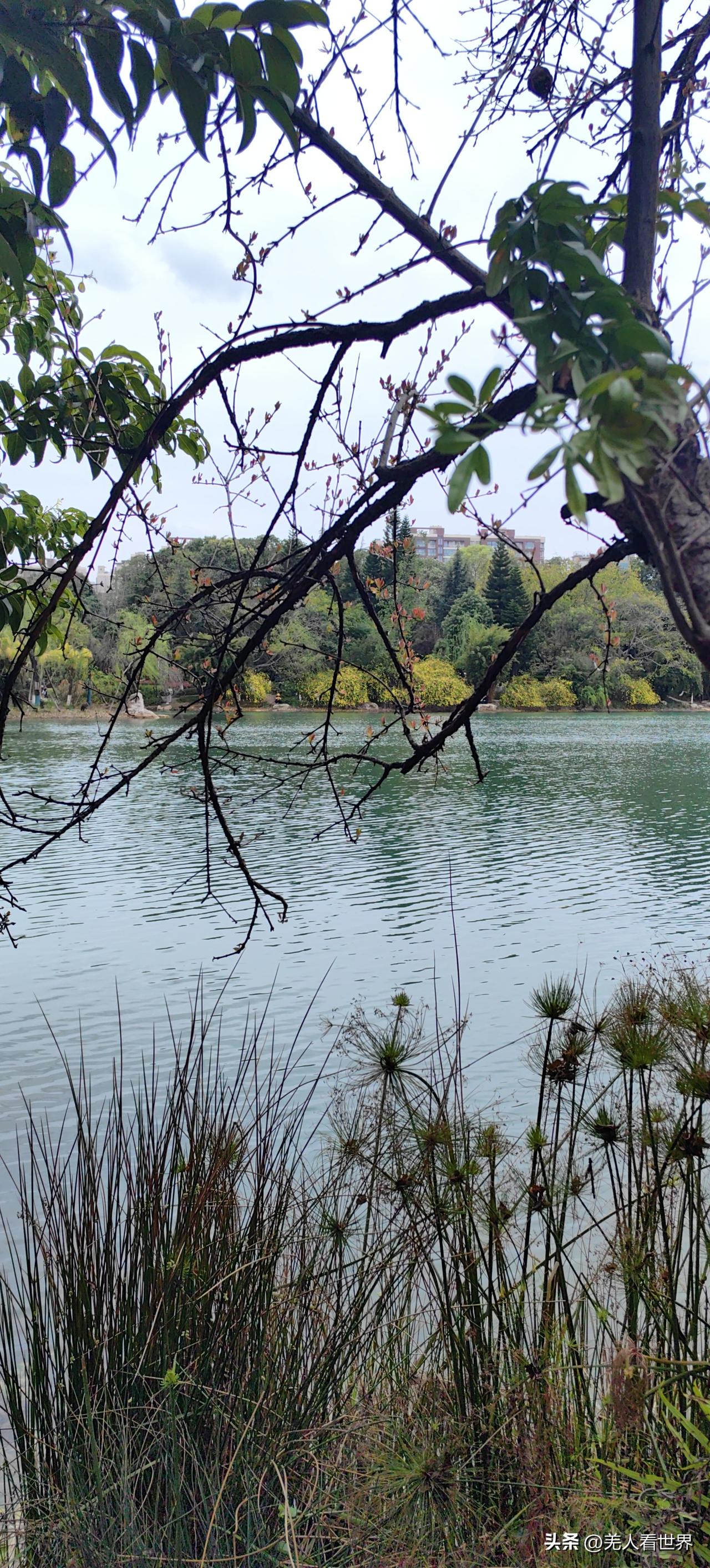 春安
 
山含黛，水含烟
一江春水送清欢
风拂柳，云舒卷
迎春花开意自闲
心无尘