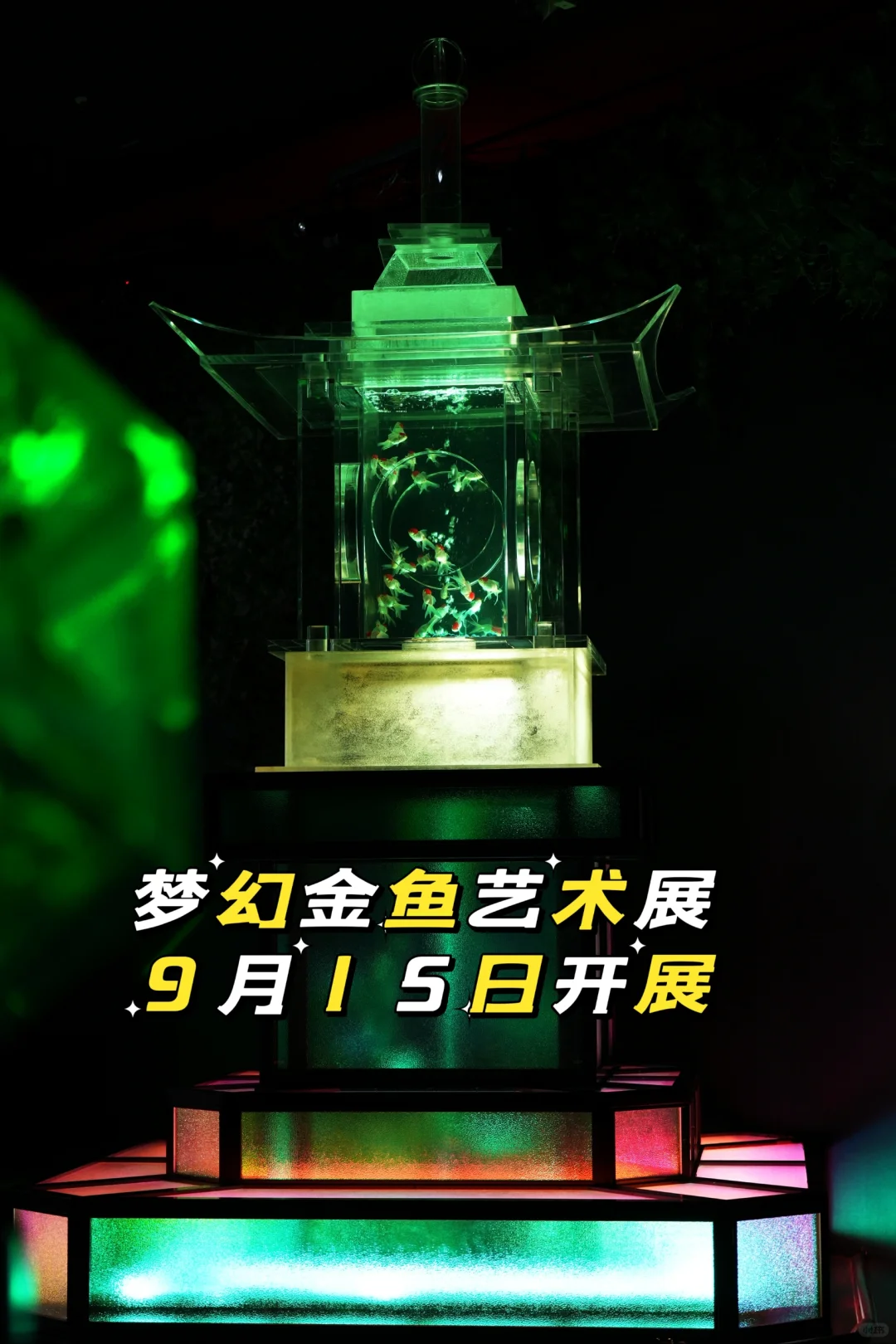 沉浸式体验艺术的魔力！