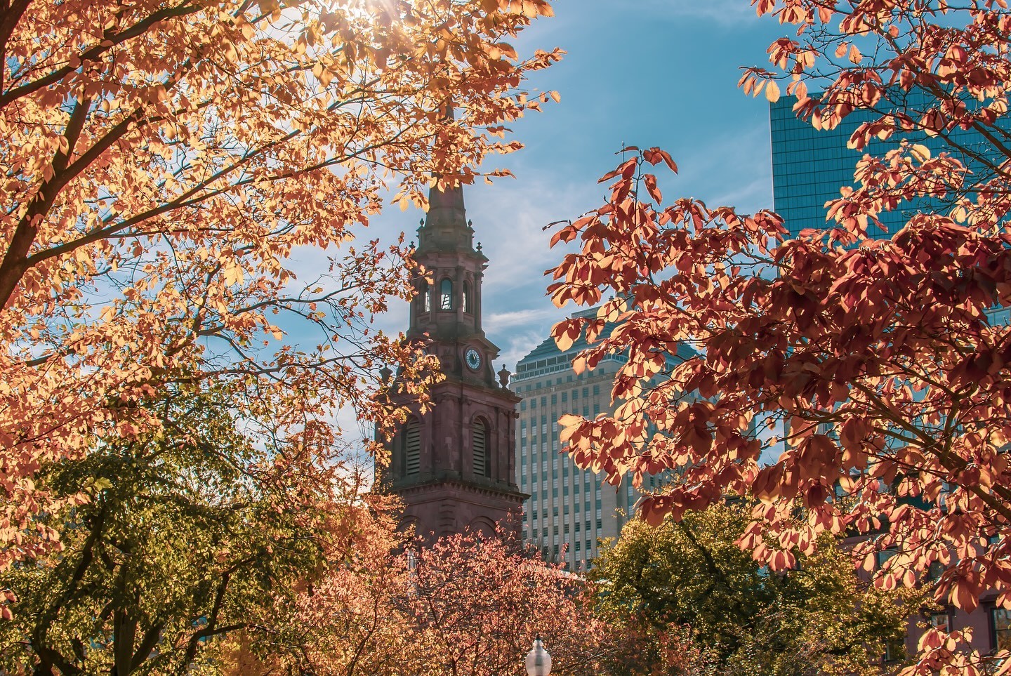 凯尔特人图库[超话] 金秋十月，波士顿又换上了美轮美奂的秋装，公共花园里、联邦山