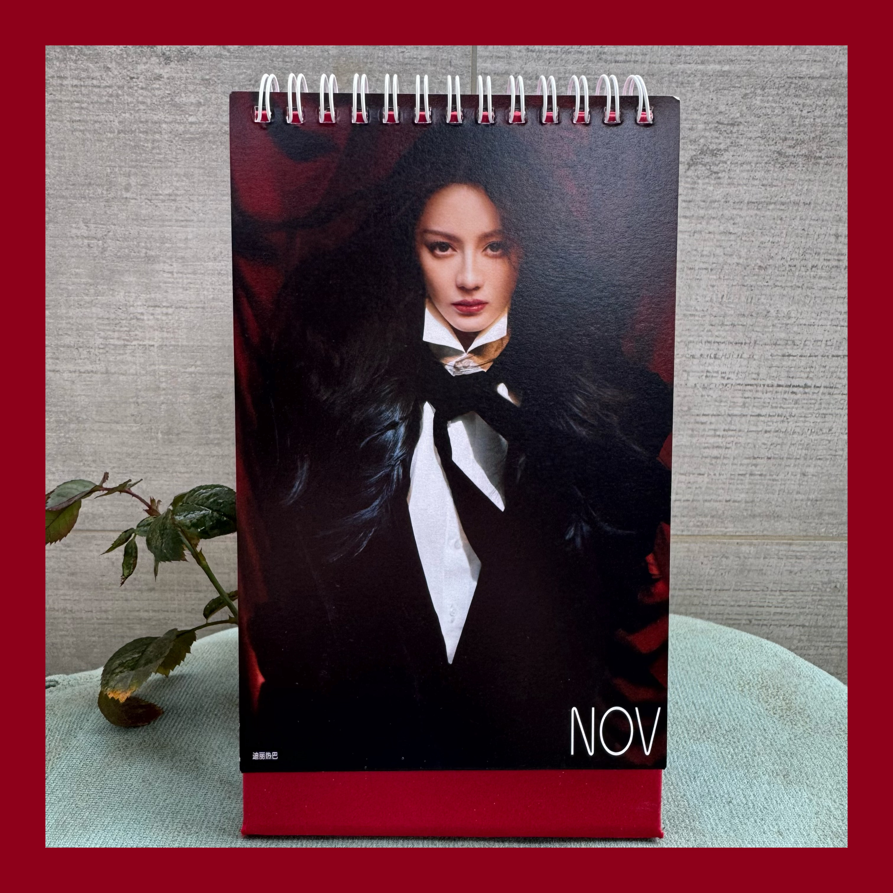 谢谢时尚芭莎品牌组送来的2026新年日历内页的明星：迪丽热巴 王嘉尔 杨幂 王俊