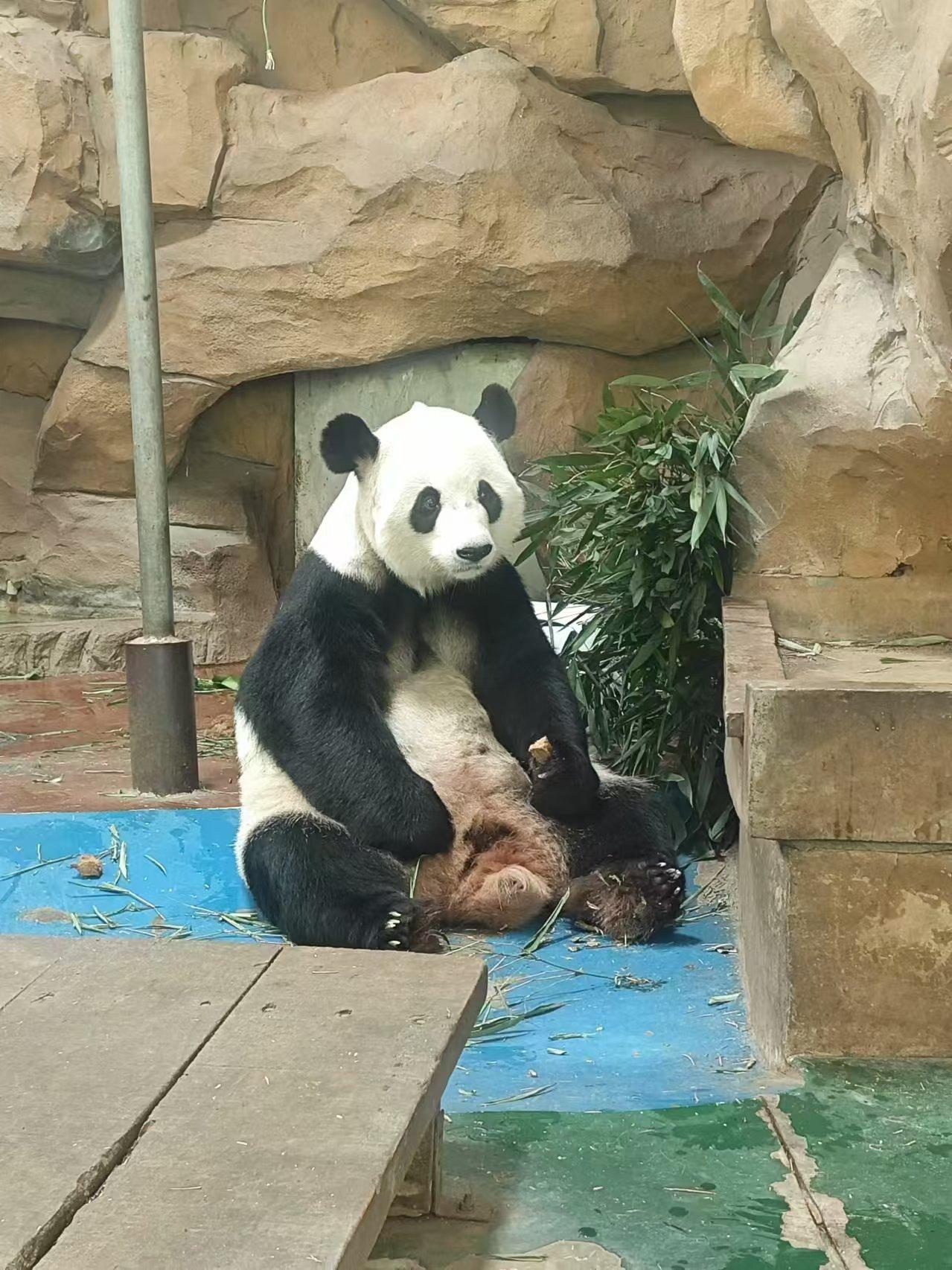 今天气温有点冷🥶