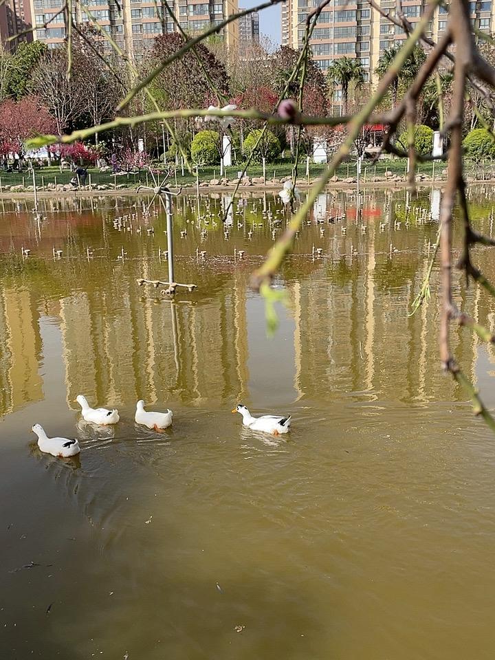 描写春天美好景色的四字词语有哪些太多了，春光明媚，春色撩人，春满人间，春柳春花，