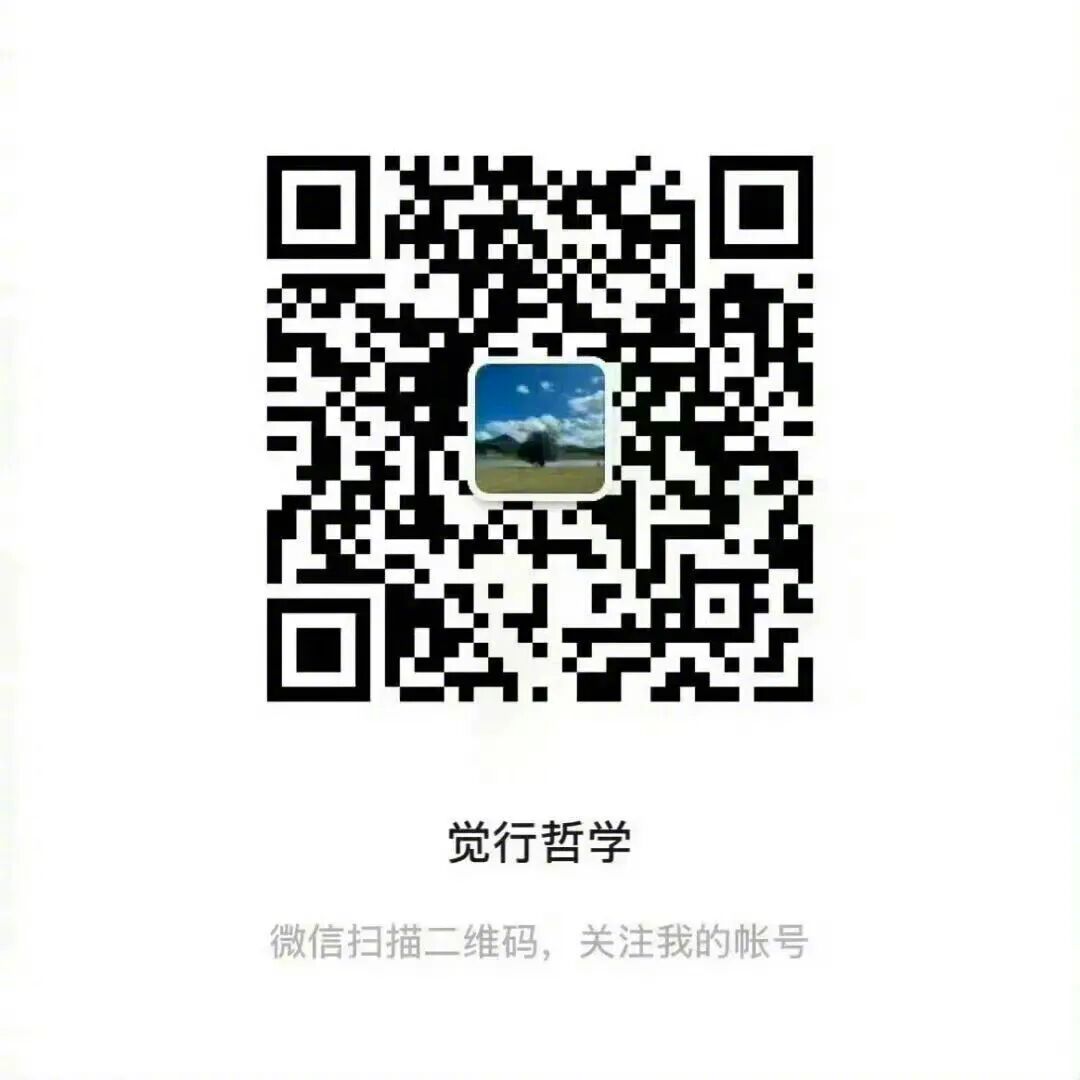 一套非常适合用来落地实践的哲学体系，《觉行哲学》微信公众号启航，欢迎大家关注。 