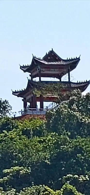 馨漪婉风所作的《七绝•登高临佳境》，读来极具画面感。“古道荫凉静几重”，使人仿若