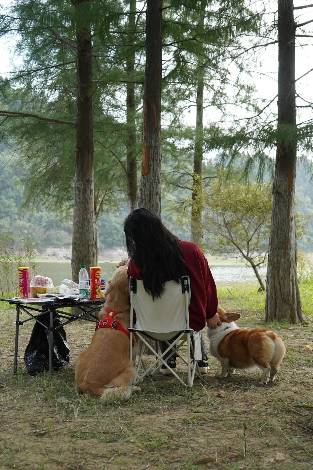 和小狗搭亲子装❤️