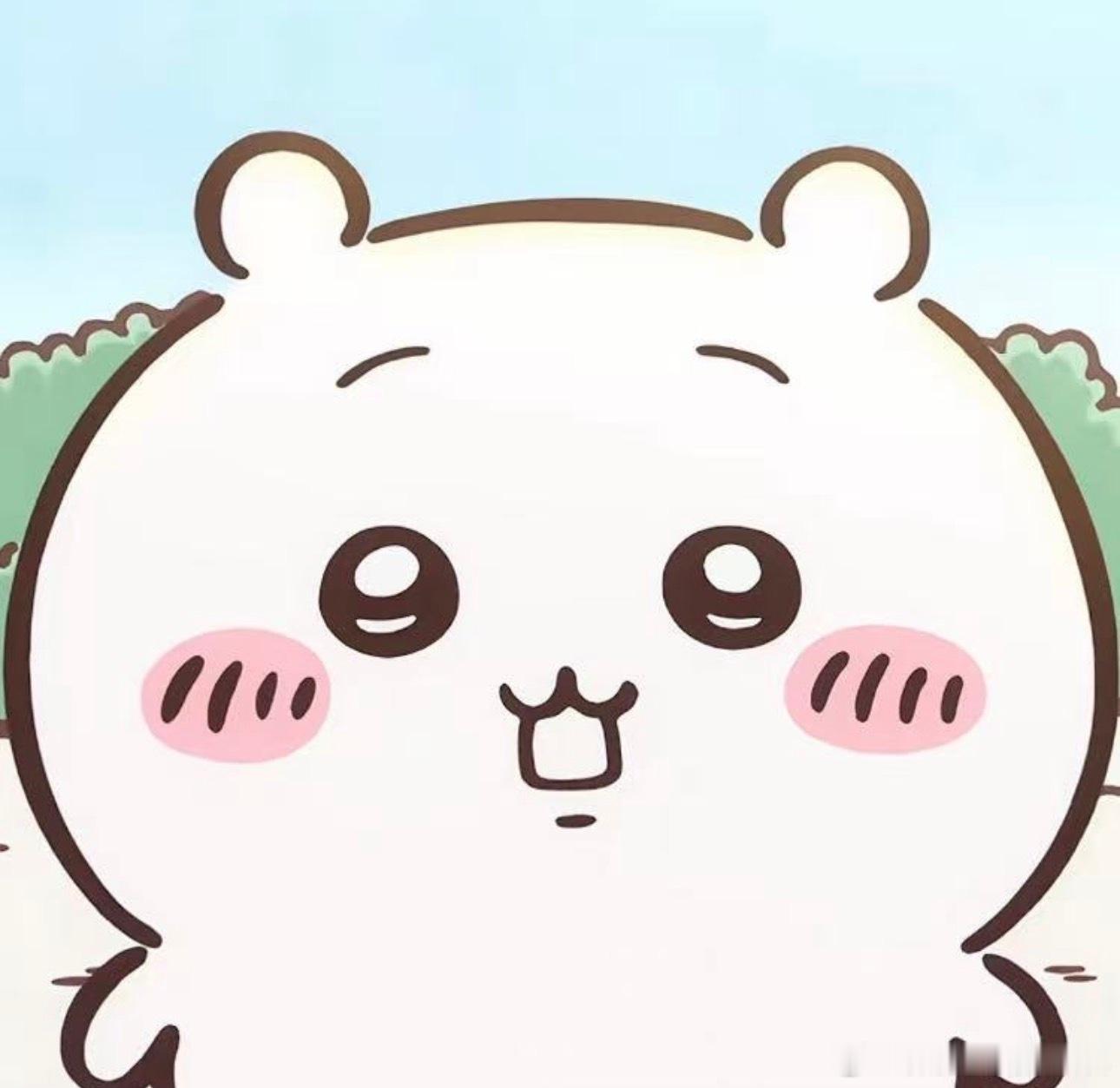 如果这个世界上真的有一只小吉伊给我玩就好了 ​​​
