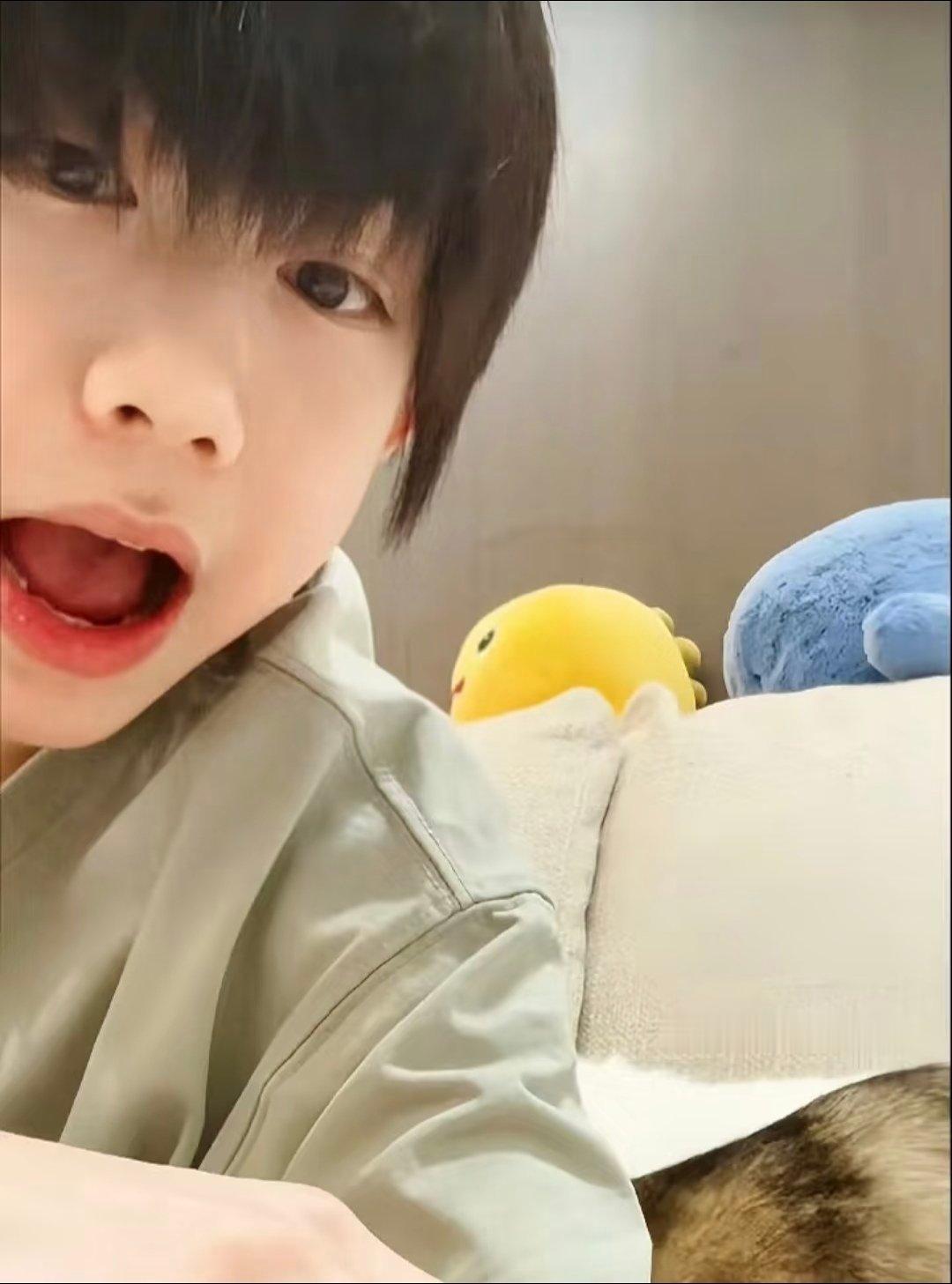 动动 